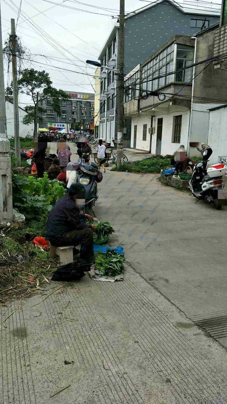 斜橋三十米大道農貿市場對面的路天天被賣菜的強行霸佔,希望政府能從